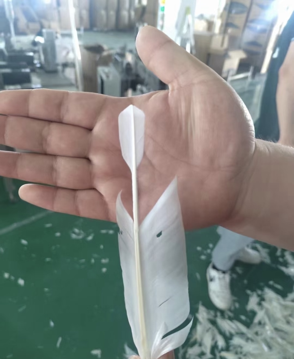 州锦屏县就, 这些