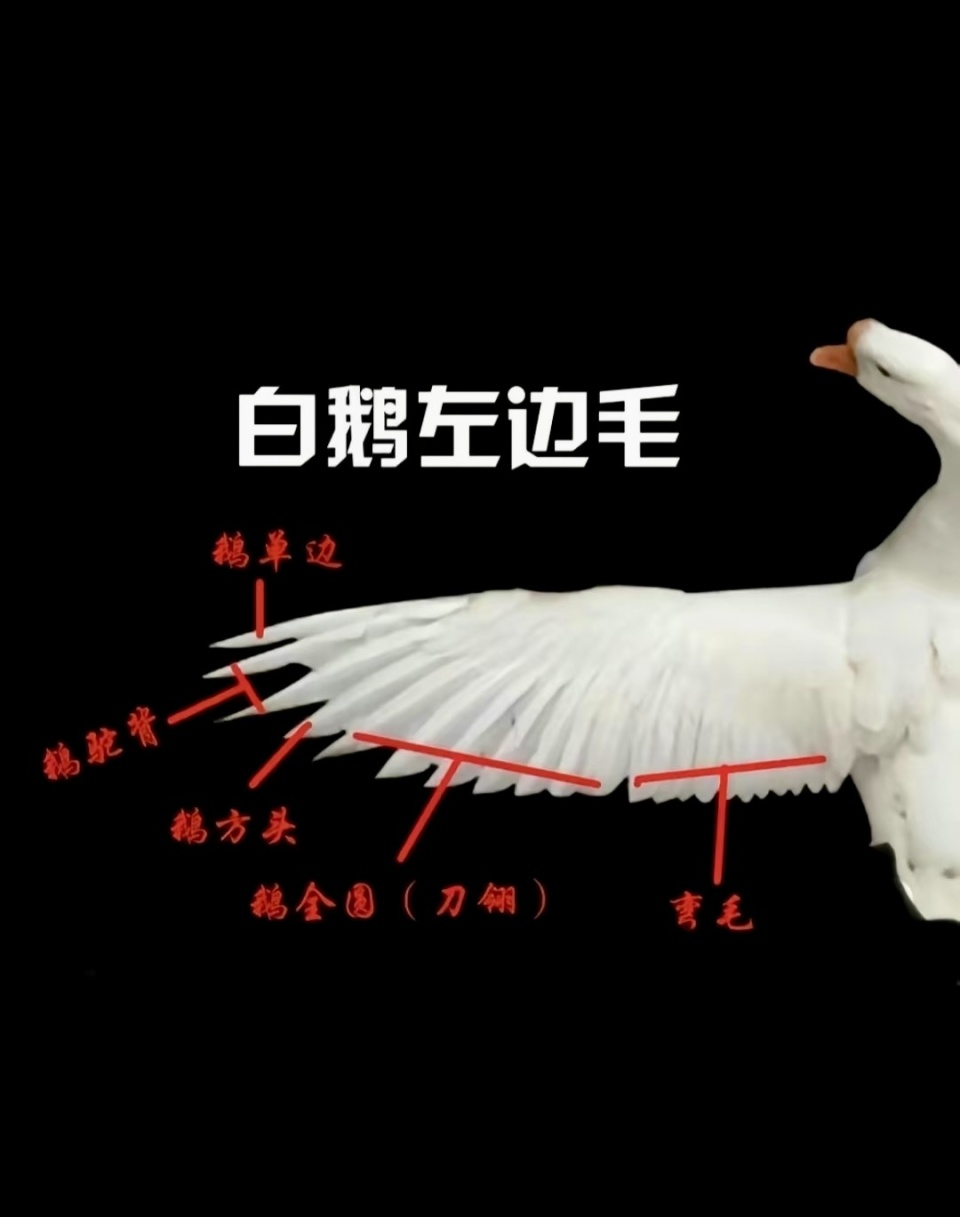 规模基本稳, 括动平衡测, 情况而定